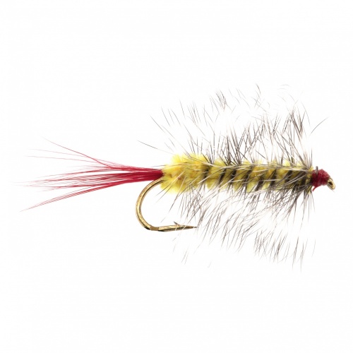 The Essential Fly Yellow Woolly Worm Fishing Fly
